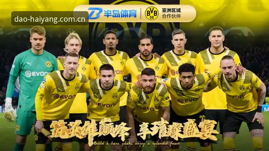半岛体育平台2026最新版本安装与使用全流程教程